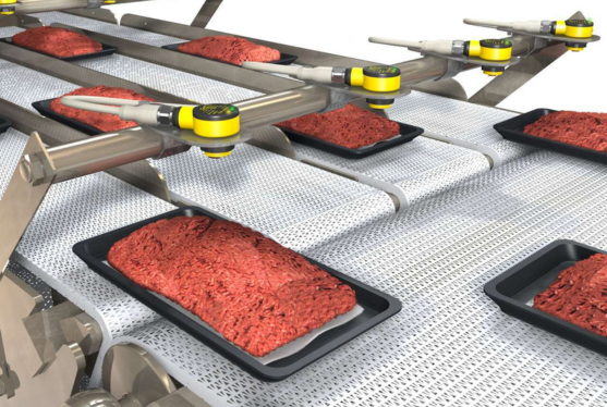 Detección en Alimentos Empacados y Línea de Transportación